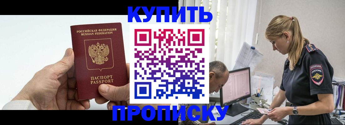прописка поиск в Котово